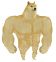 strong-doge